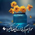 الدورات التدريبية