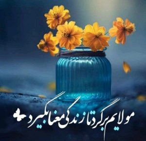 الوسائط المتعددة الرابعة