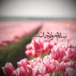 مجموعة التصميم الاحترافية